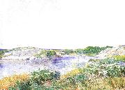 Childe Hassam The Little Pond at Appledore china oil painting reproduction